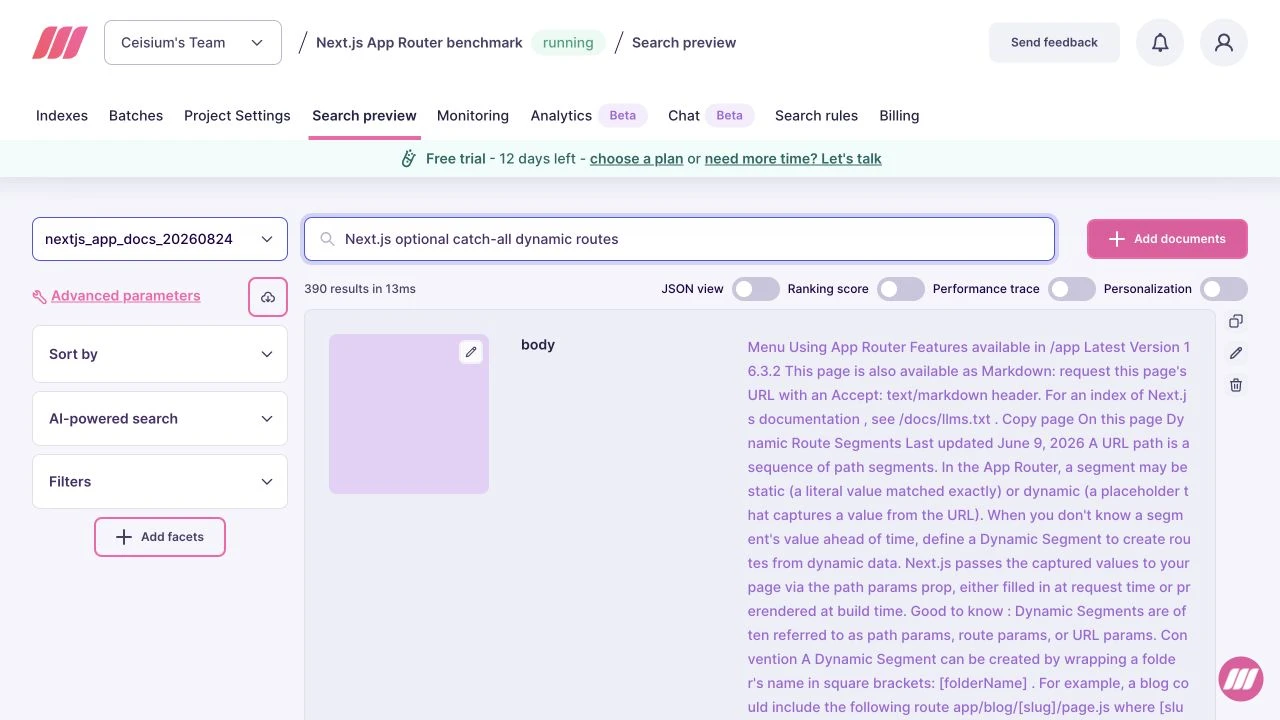 Meilisearch dashboard results for Next.js optional catch-all dynamic routes.